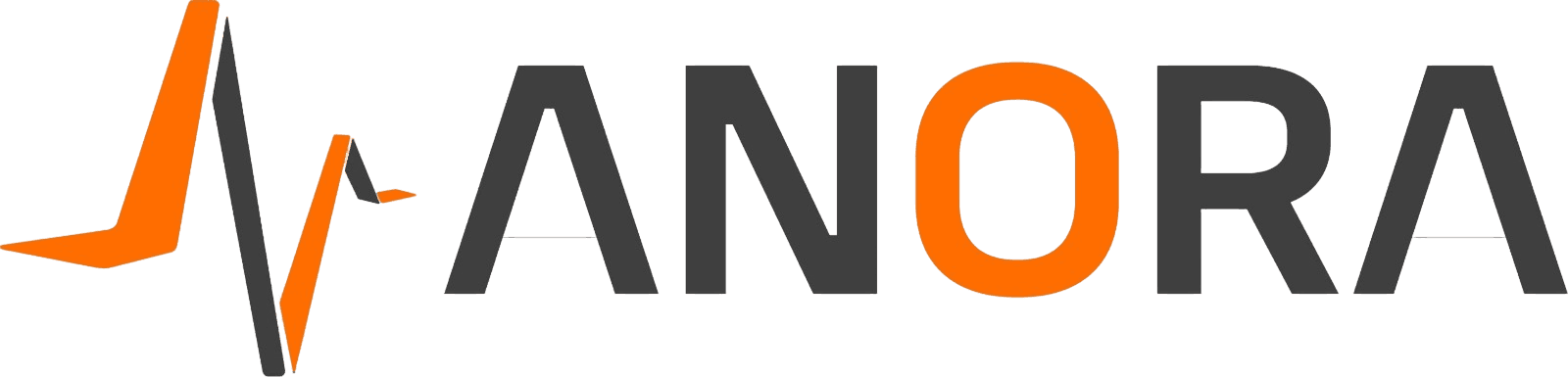 Organization 5